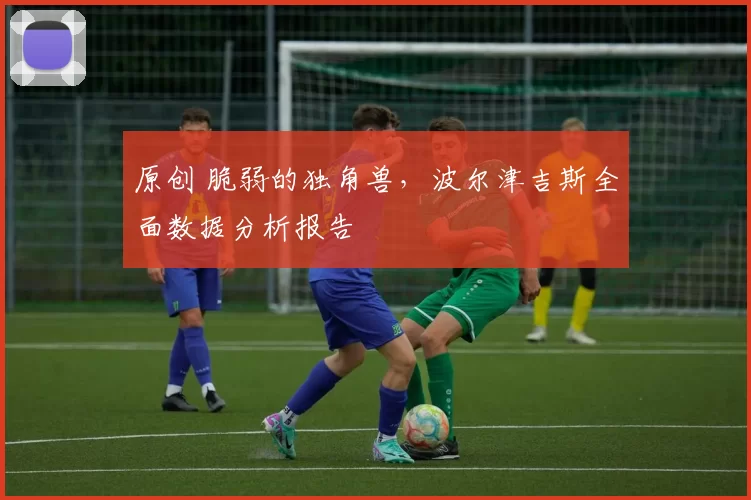 原创 脆弱的独角兽,波尔津吉斯全面数据分析报告